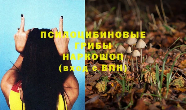 дмт Лихославль