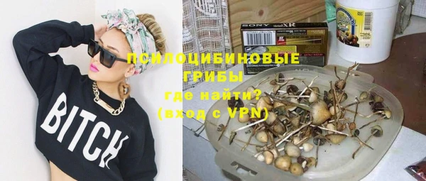 дмт Липки