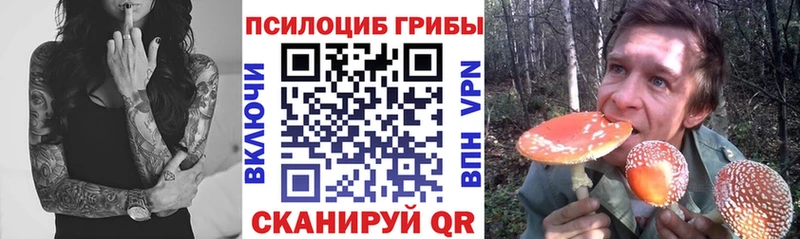 Псилоцибиновые грибы Magic Shrooms  Купить  Ирбит 