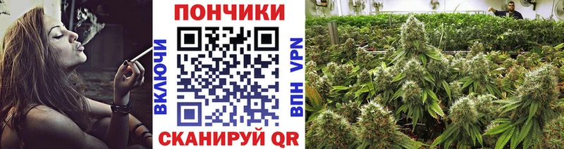 Марихуана сатива  Купить где  Ирбит 